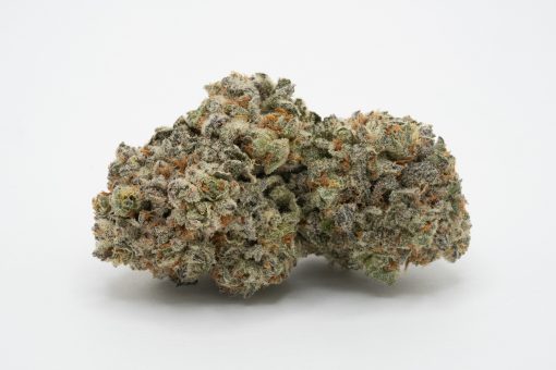 Do Si Dos (AAAA+)