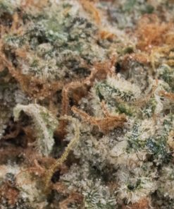 Cookies & Cream (AAA+)