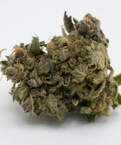 Pink Gas Mask (AAAA/Popcorn)