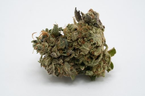 Pink Gas Mask (AAAA/Popcorn)
