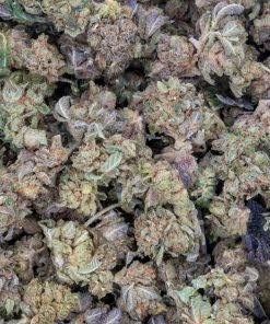 Pink Gas Mask (AAAA/Popcorn)