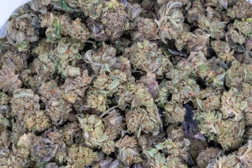 Pink Gas Mask (AAAA/Popcorn)