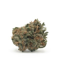 Euphoria (AA+)