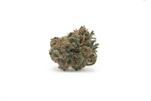 Euphoria (AA+)