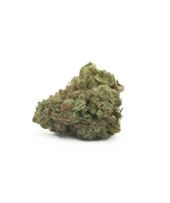 Jungle Cake (AA/Popcorn)