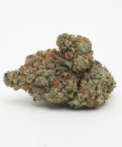 Donkey Butter (AAAA/Popcorn)