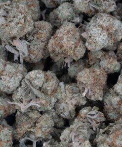 Donkey Butter (AAAA/Popcorn)