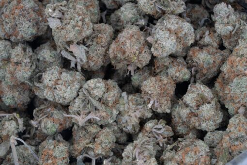 Donkey Butter (AAAA/Popcorn)