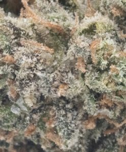 Grape Soda (AA)
