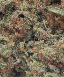 Bubba Kush (AA)