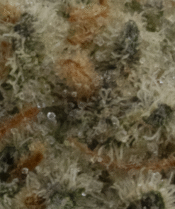 LA Kush Cake (AAA/AAA+)