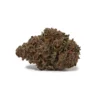 Cactus (AAA+)
