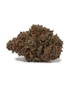 Cactus (AAA+)