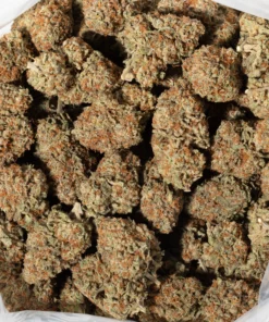 Chocolate OG (AAA+)