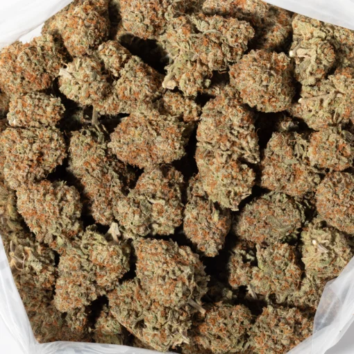 Chocolate OG (AAA+)