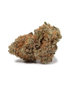Chocolate OG (AAA+)