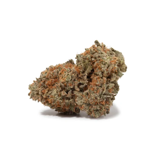 Chocolate OG (AAA+)