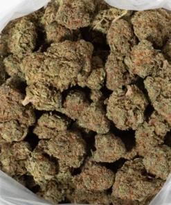 Cookies & Cream (AAA+)