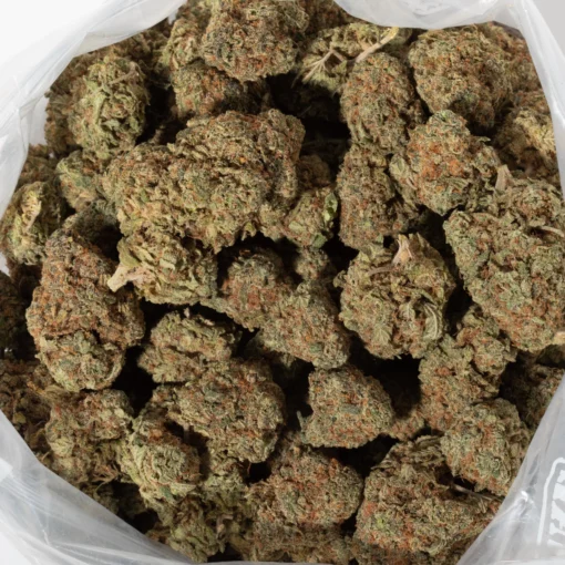Cookies & Cream (AAA+)