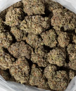Do Si Dos (AAAA+)