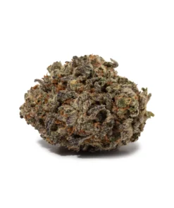 Do Si Dos (AAAA+)