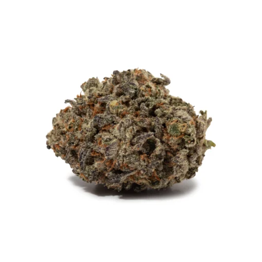 Do Si Dos (AAAA+)
