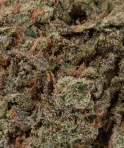Green Crack (AAAA)