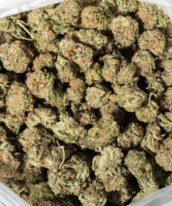 Euphoria (AA+)