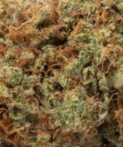 2 OZ / 3 OZ OG Kush (AAA/AAA+)