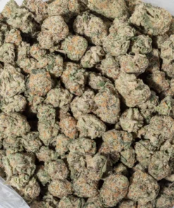 God Father OG (AAA/AAA+)