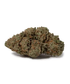 Northern Lights (AAA+)