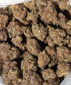 Peanut Butter Breath (AAAA+)