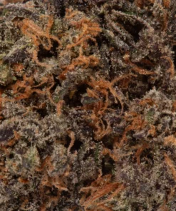 Peanut Butter Breath (AAAA+)