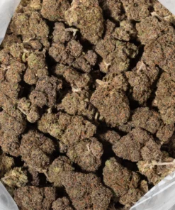 Purple Punch (AAA+)