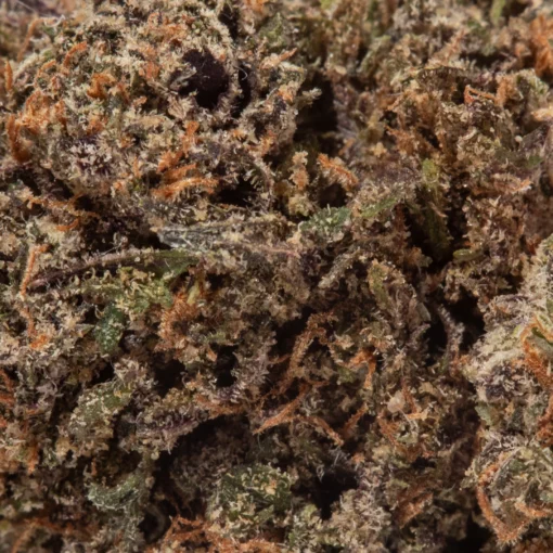Purple Punch (AAA+)