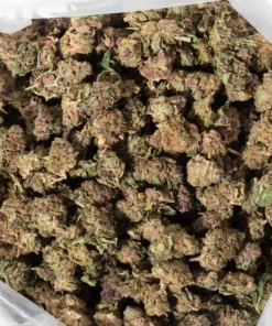 Strawberry Haze (AAAA+/Popcorn)