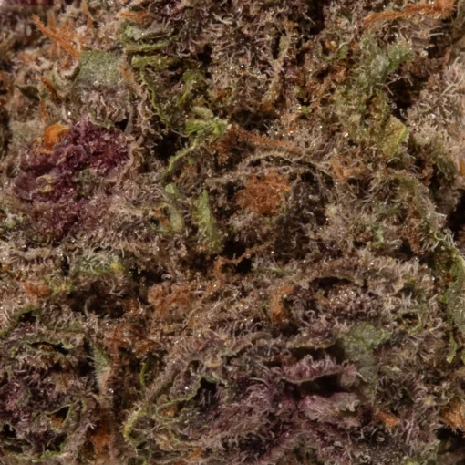 Strawberry Haze (AAAA+/Popcorn)