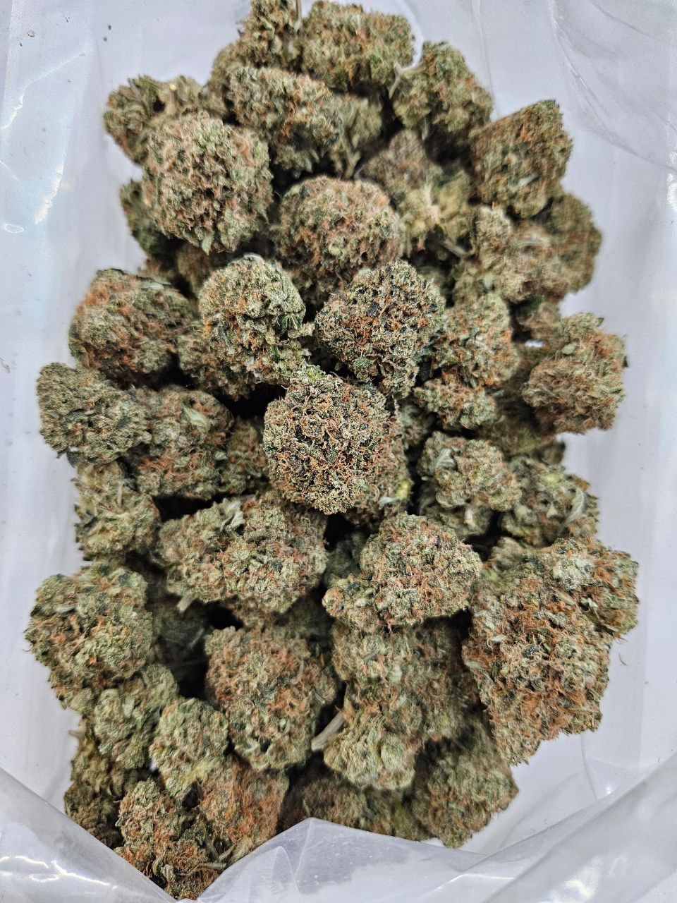 Rockstar (AAAA+) - BULK