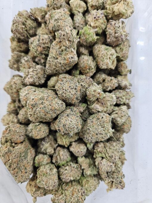 Rhino Ryder (AAAA+) - BULK