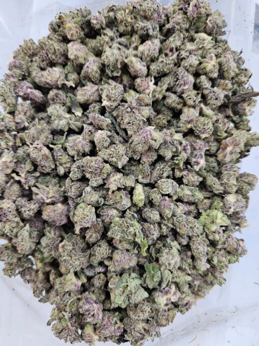 Blue Burst (AAAA+/Popcorn) - BULK