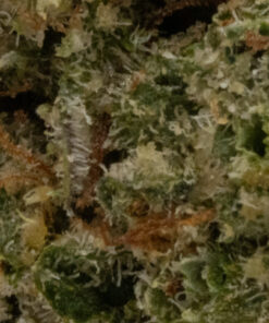 Frosted Fruit Cake (AAAA/Popcorn)