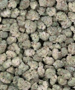 Frosted Fruit Cake (AAAA/Popcorn)