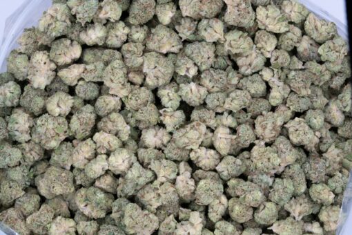 Frosted Fruit Cake (AAAA/Popcorn)