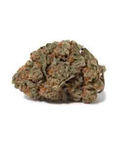 OG Shark (AA+)