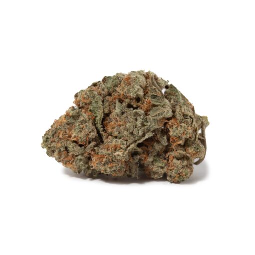 OG Shark (AA+)