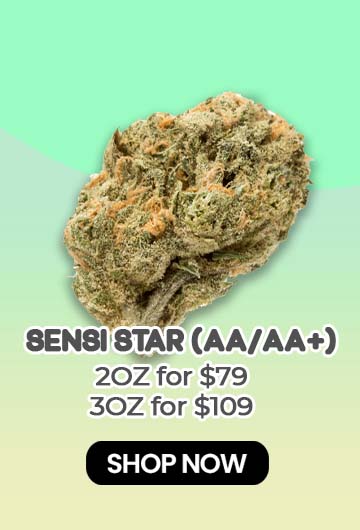 Sensi Star (AA/AA+) - $79/109