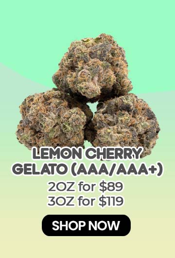 Lemon Cherry Gelato (AAA/AAA+) - $89/119
