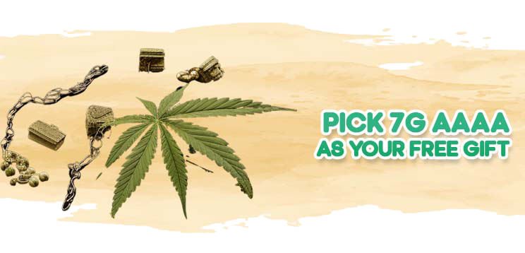 Pick 7G AAAA as Your Free Gift!