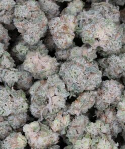 Gelato #33 (AAAA+/Popcorn)