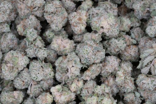Gelato #33 (AAAA+/Popcorn)